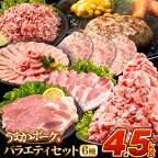 豚肉 小分け バラエティ セット うまか ポーク しゃぶしゃぶ 切り落とし 豚ロース バラ 豚バラ 豚バラ肉 スライス ヒレ ハンバーグ ひき肉 4.5kg 4500g 4kg 以上 真空 お楽しみセット 不揃い 数量限定 簡易包装 冷凍配送 《30日以内に出荷予定(土日祝除く)》