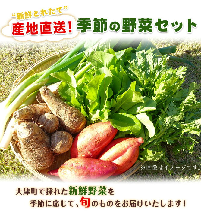 楽天市場】【ふるさと納税】熊本県大津町産 季節の野菜セット(6〜8種類) 野菜 冷蔵 JA菊池 大津中央支所 とれたて市場《60日以内に順次出荷(土日祝除く)》 : 熊本県大津町
