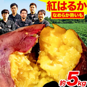 yӂ邳Ɣ[ŁzF{ÒY CZKuU[Y̍g͂邩 Iׂ e 1.5kg 5kg i咆sjs1-5ȓɏo(yj)tڃCZKuU[Y ܂  