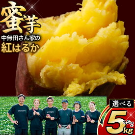 【ふるさと納税】 中無田農園の紅はるか 選べる 内容量 約1.5kg 約5kg (大中小サイズ不揃い) 熊本県大津町 《12月上旬-1月中旬頃出荷予定》 さつまいも 芋 スイートポテト 干し芋にも 名産地 特産品 秋 旬