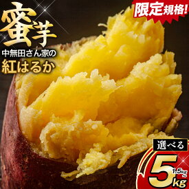 【ふるさと納税】 中無田農園の紅はるか 選べる 内容量 約1.5kg 約5kg (大中小サイズ不揃い) 熊本県大津町 《1-5日以内に出荷予定(土日祝除く)》 さつまいも 芋 スイートポテト 干し芋にも 名産地 特産品 秋 旬