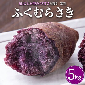 【ふるさと納税】熊本県大津町産 ふくむらさき 5kg《2026年1月上旬-5月末頃出荷》 タカハマ観光農園 さつまいも 芋 紫芋 高糖度