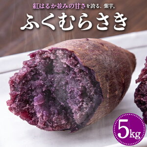 yӂ邳Ɣ[ŁzF{ÒY ӂނ炳 5kgs2026N1{-5oׁt ^Jn}ό_ ܂   x