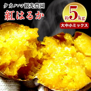 yӂ邳Ɣ[ŁzIׂ F{ ÒY ^Jn}ό_  g͂邩  3 or 5kg 咆~bNXs2026N1{-6oׁt ܂ ܈  XC[g|eg ɂ