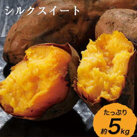 【ふるさと納税】【早期予約】熊本県大津町産 タカハマ観光農園のシルクスイート 約5kg《2026年1月上旬-4月末頃出荷》 さつまいも 芋 スイートポテト 干し芋にも