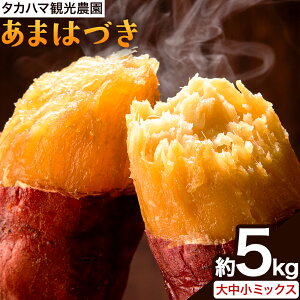 yӂ邳Ɣ[Łz^Jn}ό_  ܂͂Â 3kg 5kg ^Jn}ό_s9{-12oׁtF{ Ò ܂   C ܂͂Â A}ndL 