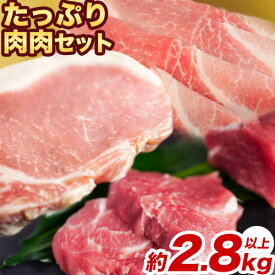 【ふるさと納税】香心ポーク たっぷり肉肉セット 約2.8kg以上 有限会社コーシン《30日以内に出荷予定(土日祝除く)》 熊本 大津町 豚肉 豚 もも肉 モモ肉 ステーキ しゃぶしゃぶ すき焼き とんかつ 焼肉 送料無料