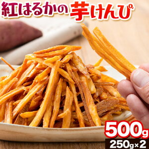 yӂ邳Ɣ[ŁzJbJ g͂邩̈ 500g (250g×2) F{ÒY Ys30ȓɏoח\(yj)tF ܂ Tc}C CPs ۑEF sgp 