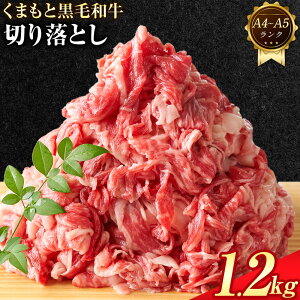 yӂ邳Ɣ[Łz yA4`A5z܂ јa ؂藎Ƃ 500g 1kg 1.2kg s30ȓɏoח\(yj)tF{ Ò јa   a   A5 A4  MEAT PLUS