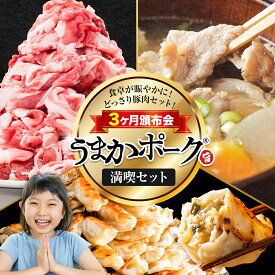 【ふるさと納税】豚肉 うまかポーク 満喫セット 全3回 定期便 うまかポーク 切り落とし ミンチ バラエティセット 生餃子《お申込み月の翌月から発送開始》熊本県 大津町 豚肉 ミンチ 干し芋 ハンバーグ 肉 頒布会 全3回