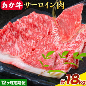 yӂ邳Ɣ[Łz ₫EԂԗp T[C Iׂ 1 v1.5kg 500g×3pbN 3 6 12 Ђׂso׎Iтtԋ    