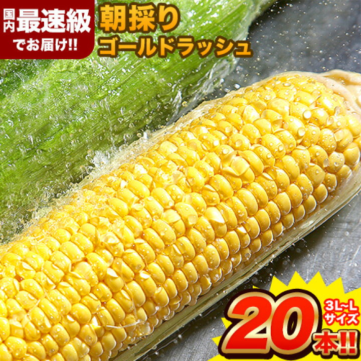 【ふるさと納税】大容量 期間 限定 先行 予約 とうもろこし スイート コーン 日本最速級出荷 朝採り ゴールド ラッシュ 20本入り 3L- Lサイズ 《 6月 中旬- 7月 中旬頃より順次出荷 》 熊本 県 大津町 フルーツコーン トウモロコシ 大きい 野菜 大容量 JA 熊本 ... 7月19日発送分 とうもろこし ゴールドラッシュ Lサイズ A品 16本