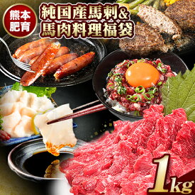 【ふるさと納税】純国産馬刺し＆馬肉料理福袋 計1kg 熊本肥育 2年連続農林水産大臣賞受賞 送料無料 上赤身馬刺し100g たてがみ50g 馬とろ150g 馬ソーセージ500g 燻製 霜降り ハン馬ーグ200g(2個入り) タレ付き 熊本県大津町《90日以内に出荷予定(土日祝除く)》