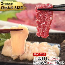 【ふるさと納税】馬刺し 上赤身 ブロック 国産 熊本肥育 冷凍 生食用 たれ付き(100g×2)＋たてがみセット(50g×1) 肉 期間限定 絶品 牛肉よりヘルシー 馬肉 予約 平成27年28年 農林水産大臣賞受賞 熊本県大津町《90日以内に出荷予定(土日祝除く)》