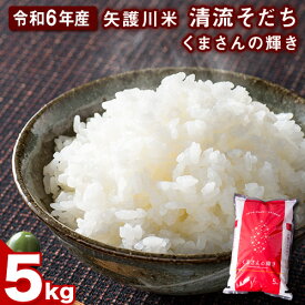 【ふるさと納税】令和6年産 矢護川清流そだち(くまさんの輝き) 5kg 大津町矢護川おいしい米作り研究会 お米 熊本県 大津町《60日以内に出荷予定(土日祝除く)》