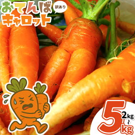 【ふるさと納税】人参 訳あり にんじん ニンジン キャロット 2kg 5kg《12月中旬-3月上旬頃出荷》熊本県 大津町 人参 送料無料 にんじん キャロット 熊本県産 にんじん 5kg