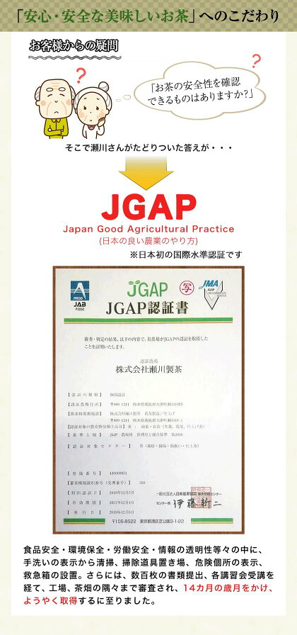 楽天市場 ふるさと納税 特撰 玉緑茶 たまりょくちゃ 一番茶 100g 5本 熊本県 大津町産 株式会社 瀬川製茶 60日以内に順次出荷 土日祝除く 熊本県大津町