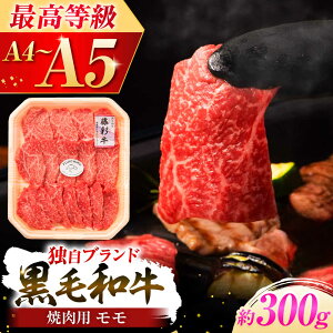 yӂ邳Ɣ[ŁztW`N ʋ  ēp 300g јa  YyЃtW`Nz[BHAD119]