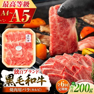 yӂ邳Ɣ[ŁzyS6ցz܂ƍјauʋvo(Jr)Ăp 1650 / F{ ez  ɂ VN j Mtg ґ a J I  イ ΂ ē y