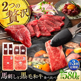 【ふるさと納税】【全3回定期便】「熊本特産馬刺しとくまもと黒毛和牛」フジチクオリジナル贅沢食べ比べセット 3905 / 熊本県 菊陽町 肉 にく 新鮮 お祝 ギフト 贅沢 誕生日 ご褒美 厳選 牛 ぎゅう 【株式会社フジチク】[BHAD051]