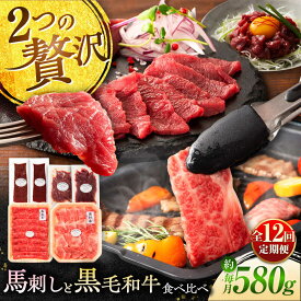 【ふるさと納税】【全12回定期便】「熊本特産馬刺しとくまもと黒毛和牛」フジチクオリジナル贅沢食べ比べセット 3905 / 馬刺し 馬肉 刺し身 熊本県 菊陽町 肉 にく 新鮮 お祝 ギフト 贅沢 誕生日 牛 ぎゅう ご褒美 厳選 【株式会社フジチク】[BHAD053]