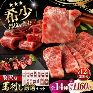 yӂ邳Ɣ[ŁzyS12ցztW`NIWi 󏭕ʂґȂӂnhIZbg 3897 / F{ ez  ɂ VN j Mtg ґ a J I n  ΂ y