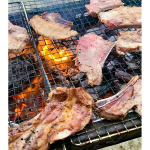 yӂ邳Ɣ[ŁzyS|[NzXyAuBBQJbg 1kgyLЃR[Vz[BHAH004]