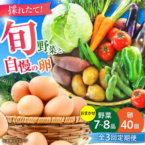 yӂ邳Ɣ[ŁzyS3ցzyʌzVN܂Ə{̖؃Zbg(7~8ix{40) / ܂  ^}S l Zbg  VN {  F{ YiyLЂӂ