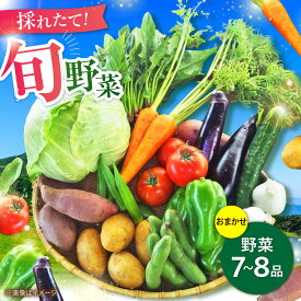 【ふるさと納税】旬の 野菜 セット (約3kg/野菜7-8品程度) / 新鮮 詰合せ やさい セット 旬 おまかせ にんじん ごぼう 直売所 やさい 野菜 3kg 3キロ サラダ 熊本県 特産品 菊陽町 【有限会社さんふれあ】[BHAK023]