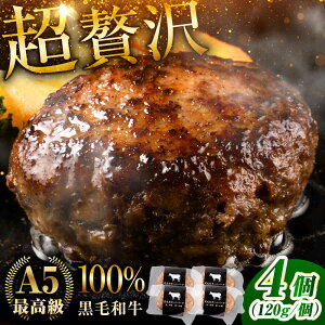yӂ邳Ɣ[Łzјa no[O 4 (120g×1×4pbN) yВ{Yz[BHAQ002]