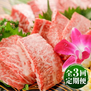 yӂ邳Ɣ[ŁzyS3ցzGIF ܂Ƃ ē 500g v1.5kg / ~ i   F{ ezyez(hq)z[BHAZ026]