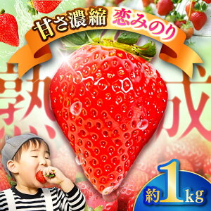 yӂ邳Ɣ[Łzys\zy2026N1Jnz F{Y  ݂̂ v1kg (250g×4pbN) ʕ t[c Â C`S  F{ ezyL g_z[BHBM002]