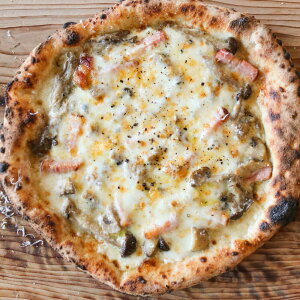 yӂ邳Ɣ[Łzy i|sbc@X  dqĂ Ⓚ sbc@ Zbg z tM × 3 v1.02kgyxsbc@z[BHBV004]