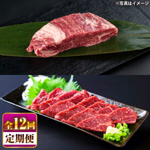 yӂ邳Ɣ[ŁzyS12ցz  Xe[Lpq(800g)Anh(200g)Zbg v1kg /  n Hהׁ@y ׂz[BHBY019]