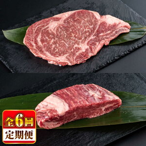 yӂ邳Ɣ[ŁzyS6ցzF{Y  Xe[Lpq(600g)A[X(800g) v1.4kg /  Y Zbg Hהׁy ׂz[BHBY030]