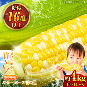 yӂ邳Ɣ[Łzys\zy2026N6{菇zXC[gR[(ÁX) 4kgi10`11{j/ x 񂩂ނ x R[X[v Yn Â R[  BBQ o^[