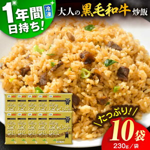 yӂ邳Ɣ[ŁzF{Y u l̍јau v2.3kg (230g×10) / ⓀHi Ĕ a `[n јa  `[n y Ⓚ ؑ Ⓚ`[n B F{ e