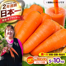 【ふるさと納税】【令和8年度熊本地震復興支援】【訳あり】【選べる発送月・内容量・お届け回数】(訳あり)ジュース用秋にんじん5kg・10kg / にんじん ニンジン 野菜 β-カロテン ジュース用 食物繊維 抗酸化作用 【株式会社 まゆみ農園】[BHCW007]