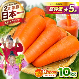 【ふるさと納税】【選べる発送月】【訳あり】ジュース用秋にんじん / にんじん ニンジン 野菜 β-カロテン ジュース用 食物繊維 抗酸化作用 1万円以下 10000円以下 【株式会社 まゆみ農園】[BHCW007]