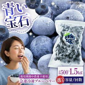 【ふるさと納税】【選べる容量・お届け回数】青い宝石 国産 急速冷凍ブルーベリー 計約500g〜1500g（約500g×1〜3袋） 果物 くだもの フルーツ ぶるーべりー 熊本県 菊陽町【アグファーム株式会社】[BHCX006]