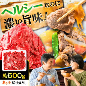 yӂ邳Ɣ[Łz ؂藎Ƃ 500g / F{ ԋ   јa  Ⓚ Y  a ؂藎Ƃ ܐ؂y܉Eqt[Yz[BHCY001]