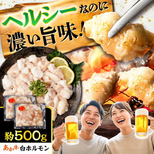 yӂ邳Ɣ[Łz  z 500g (250g×2P) /  јa z  BY Y F{Y    ēy܉Eqt[Yz[BHCY009]