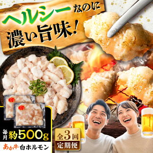 yӂ邳Ɣ[ŁzyS3ցz  z 500g (250g×2P) /  јa z  BY Y F{Y    ēy܉Eqt[Yz[BHCY010]