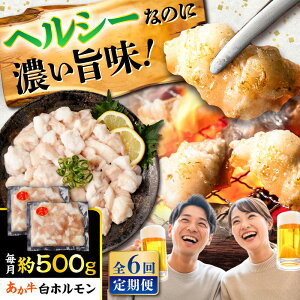 yӂ邳Ɣ[ŁzyS6ցz  z 500g (250g×2P) /  јa z  BY Y F{Y    ēy܉Eqt[Yz[BHCY011]