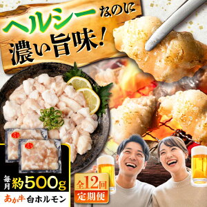 yӂ邳Ɣ[ŁzyS12ցz  z 500g (250g×2P) /  јa z  BY Y F{Y    ēy܉Eqt[Yz[BHCY012]