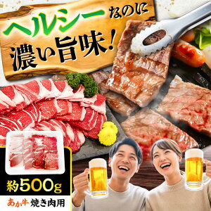 yӂ邳Ɣ[ŁzF{ ēpJbg(o [X) 500g / F{   a ē [X o   јa Ⓚ Yy܉Eqt[Yz[BHCY045]