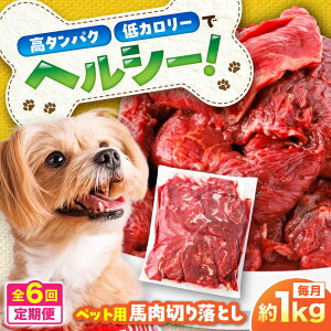 yӂ邳Ɣ[ŁzyS6ցzH ybgp n ؂藎Ƃ 1kg / ybgt[h hbOt[h  n H M ybgp y܉Eqt[Yz[BHCY055]