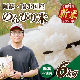 【ふるさと納税】 のんびり米 6kg 予約 令和6年産 農薬不使用 米 白米 玄米 玄米対応可能 南小国町 ギフト 送料無料