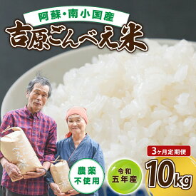 【ふるさと納税】 米 無農薬 白米 令和5年 10kg 3ヶ月 定期便 ごんべえ米 熊本 南小国 送料無料