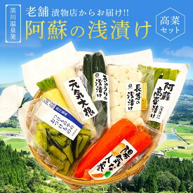 【ふるさと納税】 浅漬け バラエティ セット 6種 大根 胡瓜 きゅうり 茄子 ナス 長芋 人参 阿蘇高菜 高菜漬け 高菜 漬物 高菜漬物 お取り寄せ ギフト 贈答用 黒川温泉 平野商店 九州 熊本 阿蘇 南小国町 送料無料